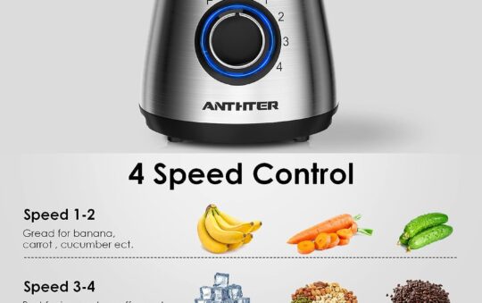 Anthter CY-212 Professional Blender Review
