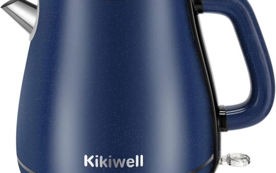 Electric Kettles Stainless Steel Review