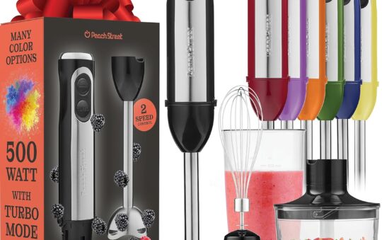 Multi-Use Immersion Blender Review